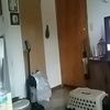 graciemabel2804