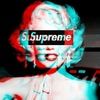 guccimaster
