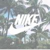 alex_pollo24