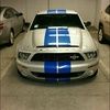 2008gt500