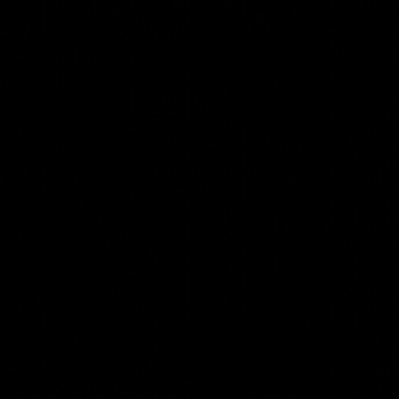lupeentz3