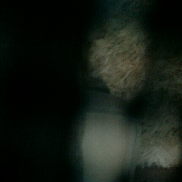 csloading1