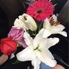 adrianna01234