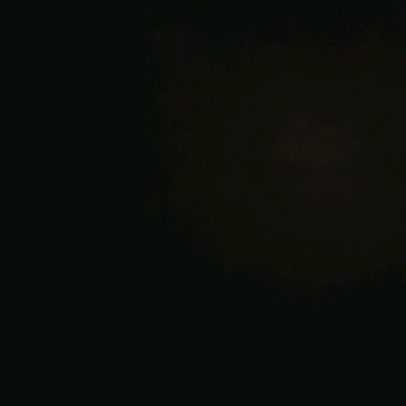 insanepayne