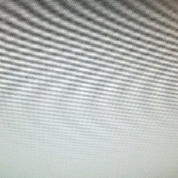 riskypanda