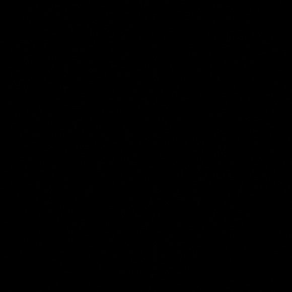 elizd14