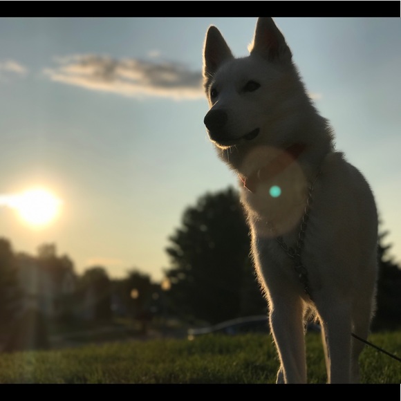 kyle5577