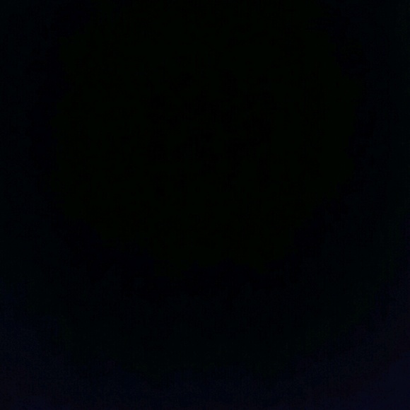 bellea0284