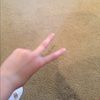 carlsoka12054