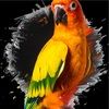 joeyg5566