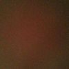 mzilly781