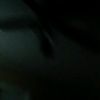 aaralynf