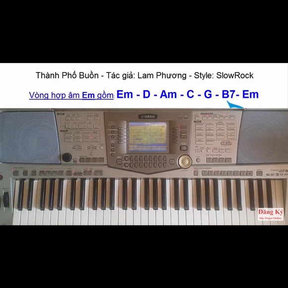marknguyen3003