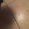 fai20