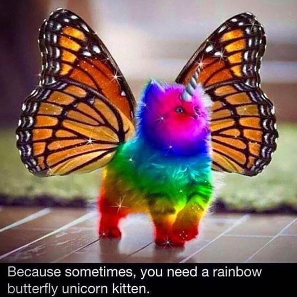 rroppolo