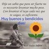 stefy2811