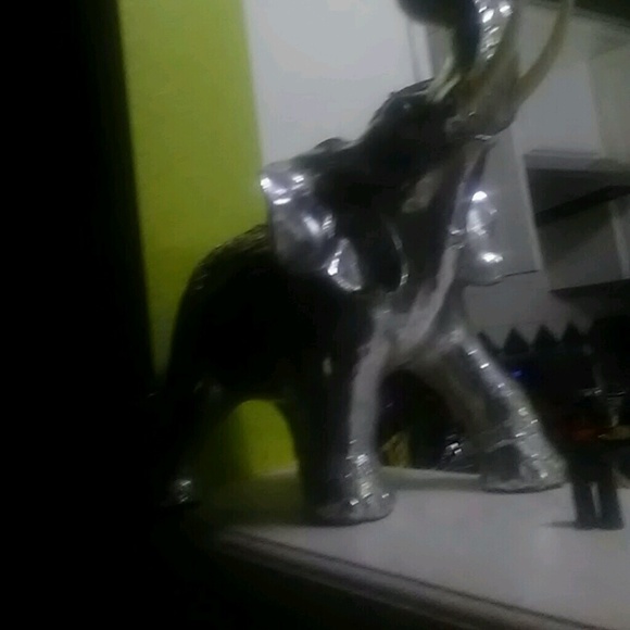 dtruji05