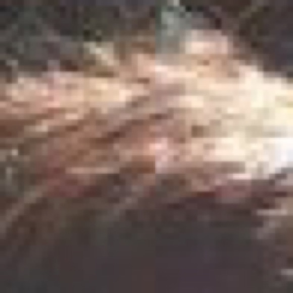 leovargas1057