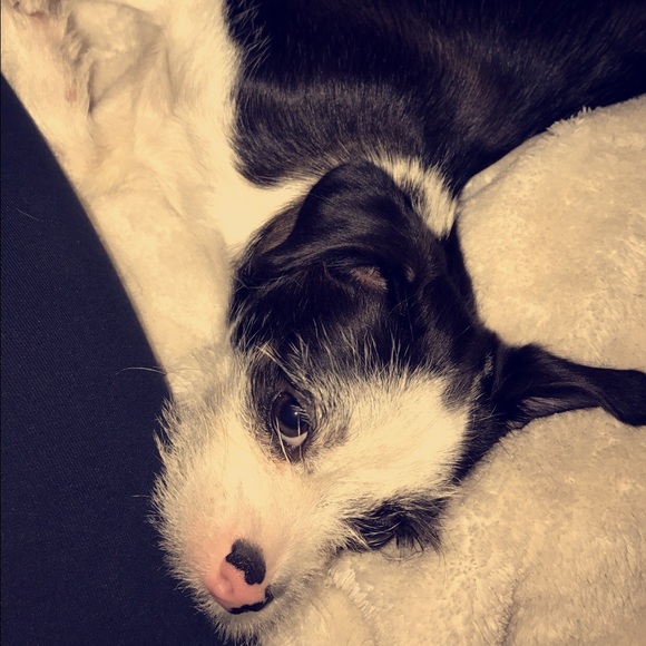 bri_bri_4200