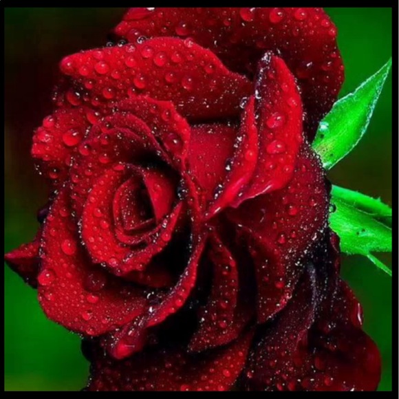 lorismith31