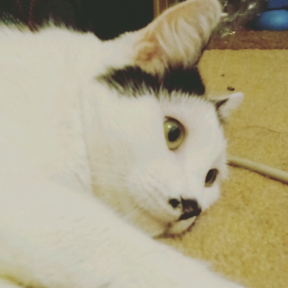 melpanda