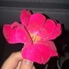 sydnie25