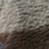 ashcod1
