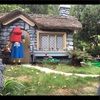 linfaux1