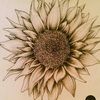 sunsh1neshopper