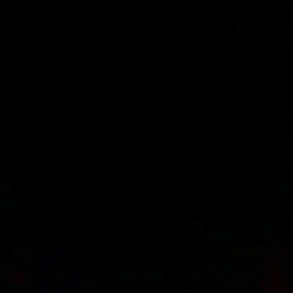 papalock_66