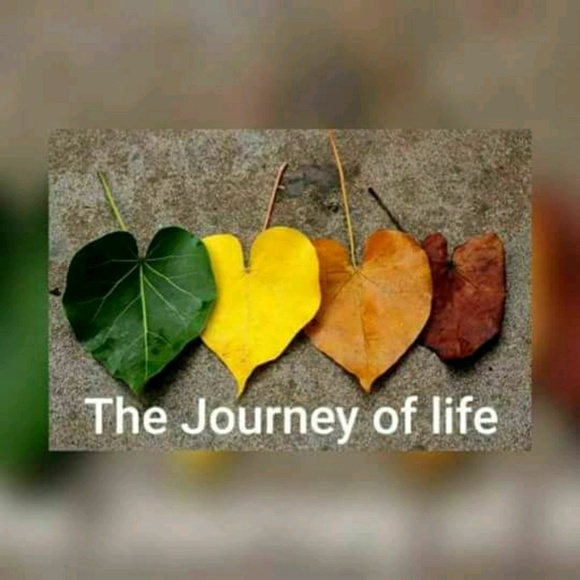 sinchu_anand