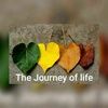 sinchu_anand
