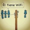 ramos_torres