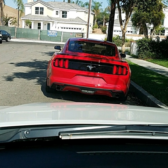 pickynicky02