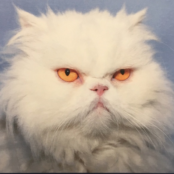 fenskem
