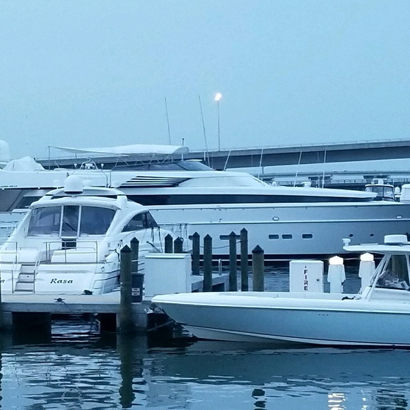 lima419
