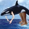 sarahahnassar