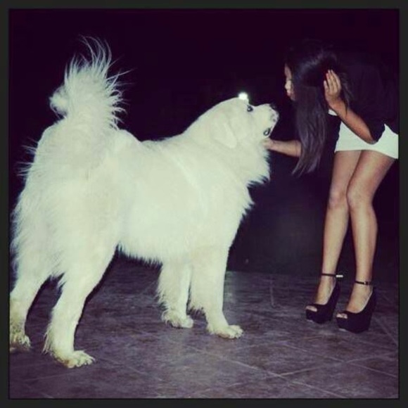 bettydelao