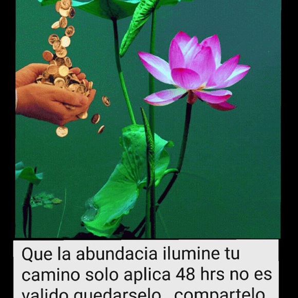 stevenlopez03