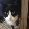liltodgmail liltodgmail