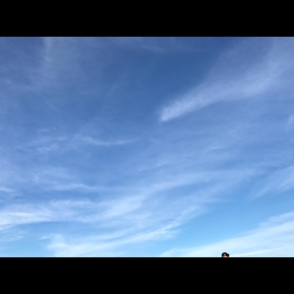 artdwhite