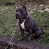 poobs513