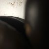 kd3517
