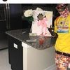 blkthefinesser