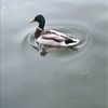 jrkirby80