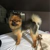 eclecticannie1