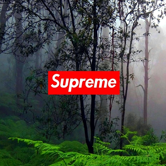 sckreeeet