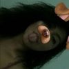 litzy_slr