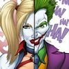 joker8677