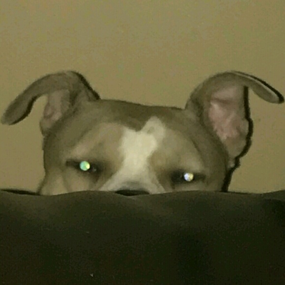 bobobbobob